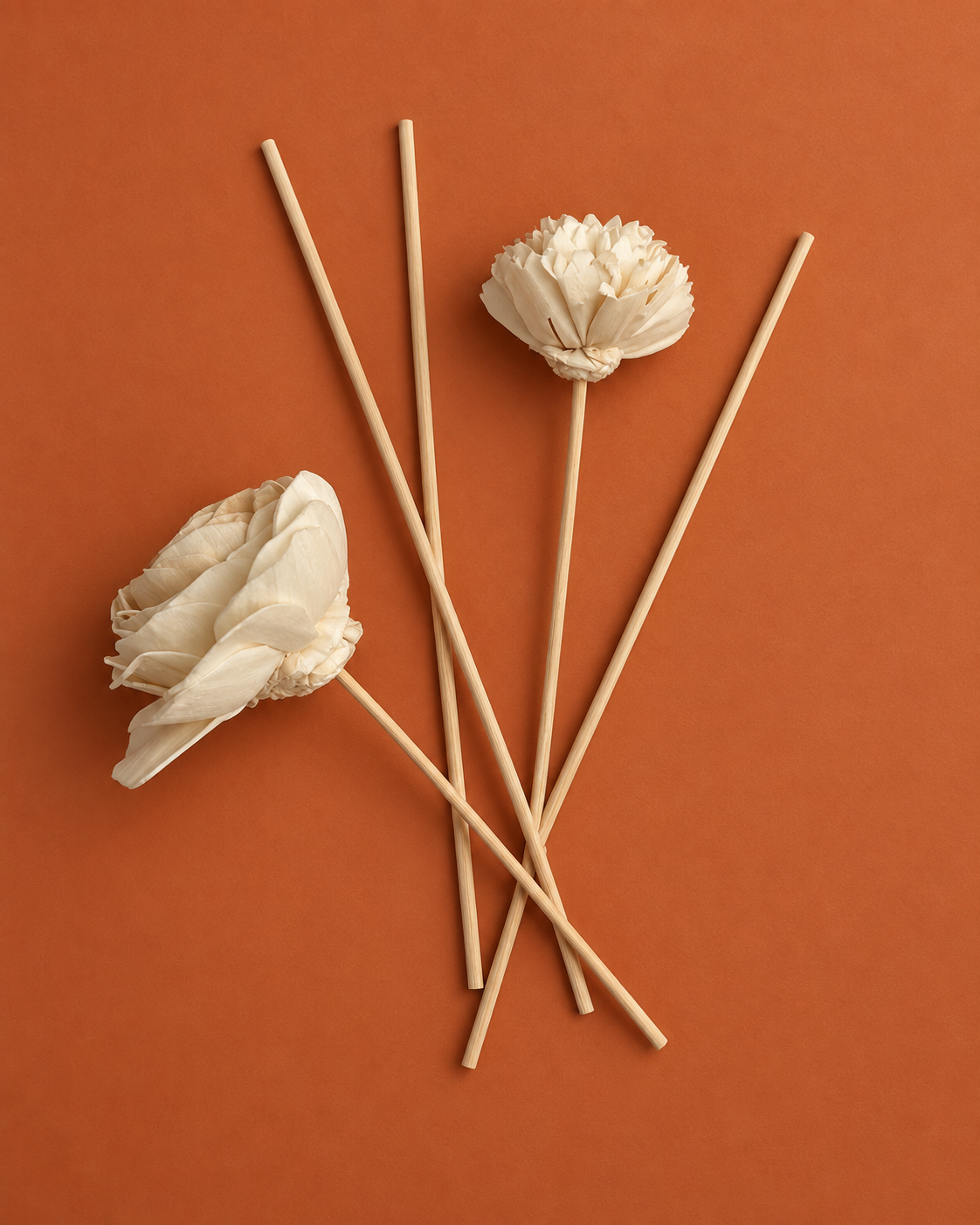 Warm Malasada Reed Diffuser