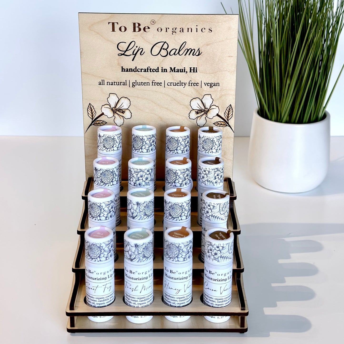 Lip Balm Package Tropical Flavors